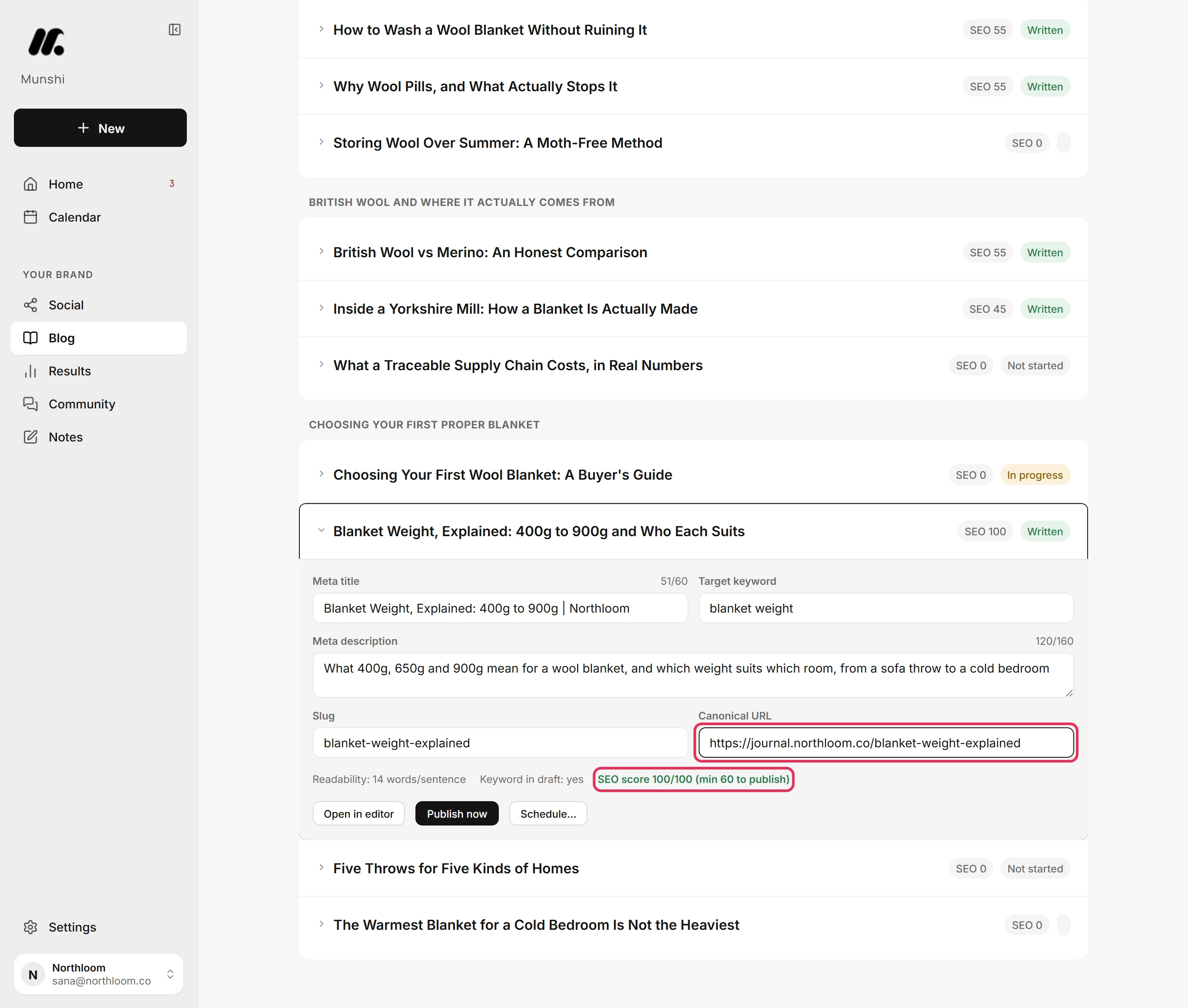 Canonical URL filled in and the SEO score reading 100/100, outlined.