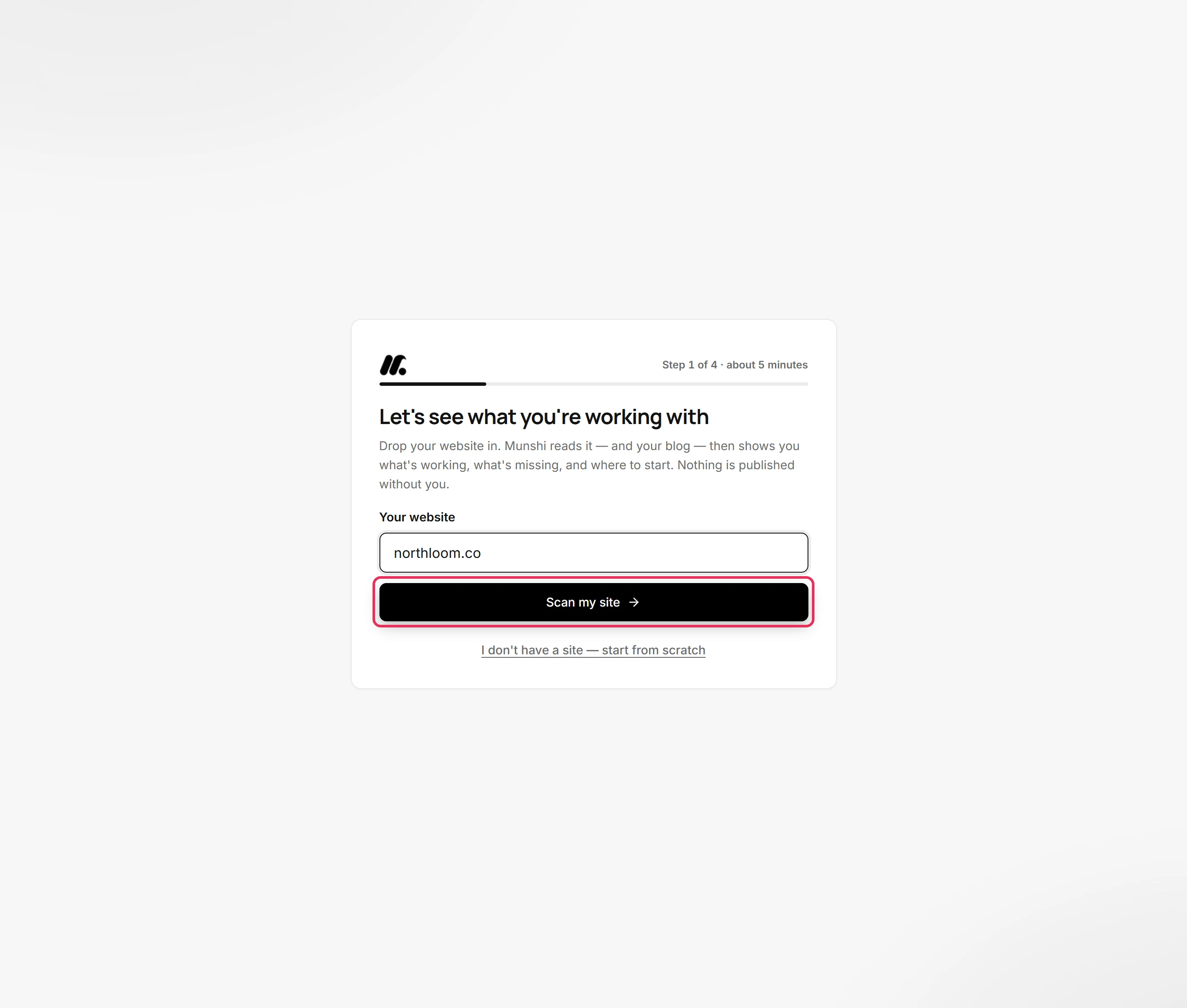 The Scan my site button outlined under the website field.
