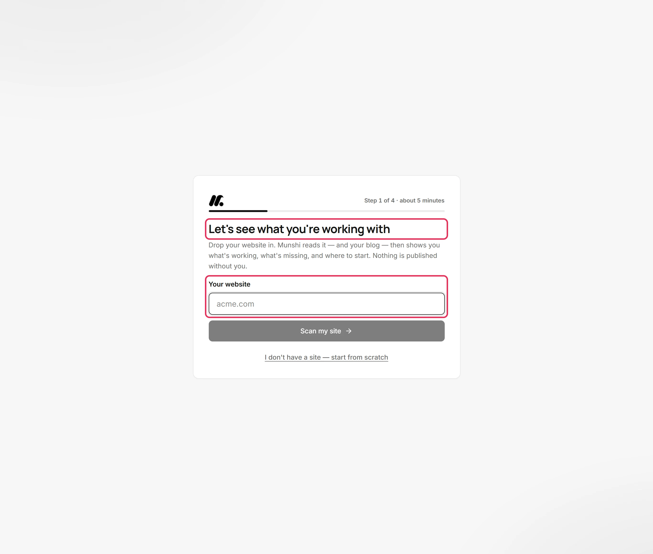 The first setup screen, titled Let's see what you're working with, with its title and the Your website box outlined.