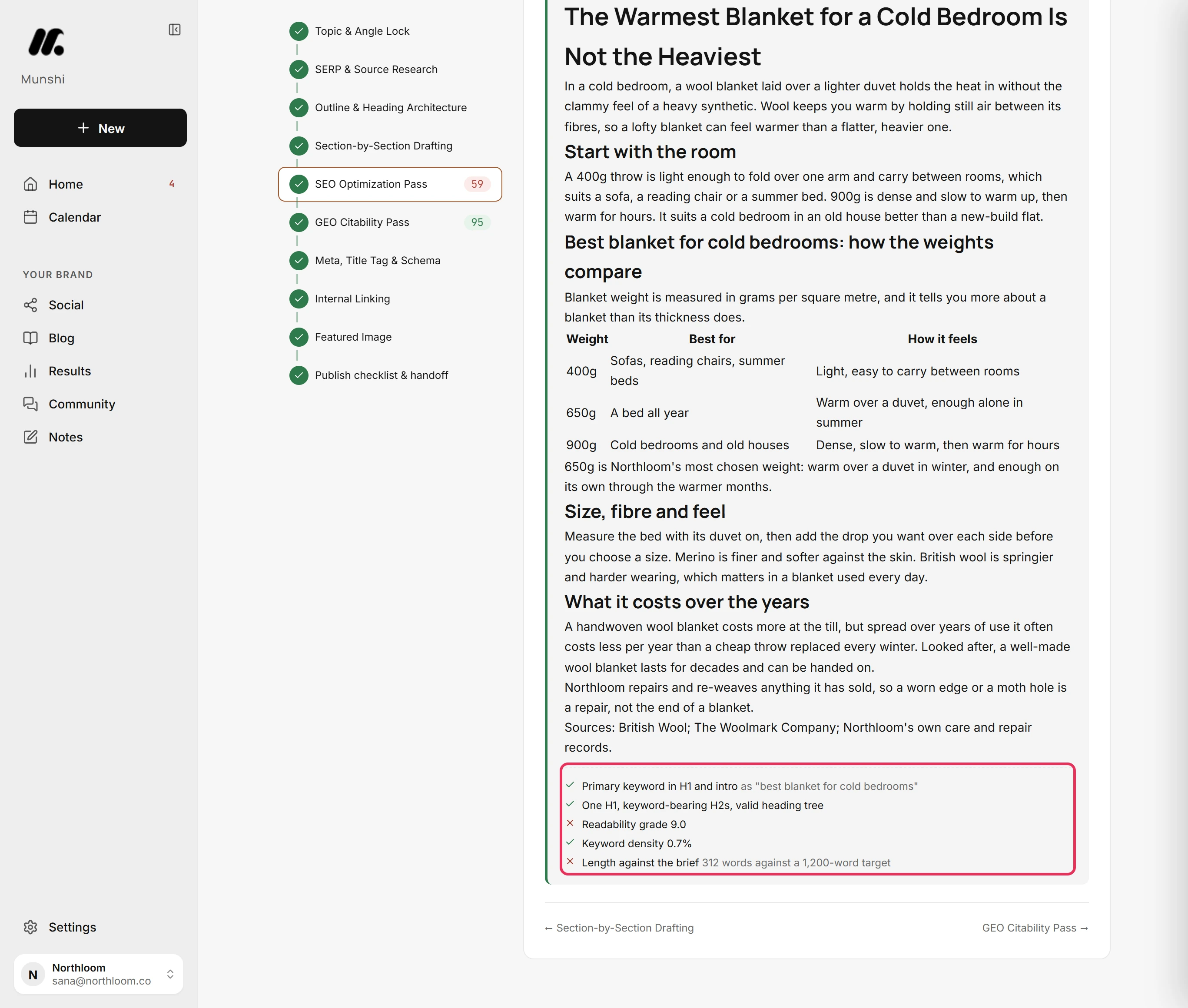 The SEO Optimization Pass checks, with their ticks, crosses and notes, outlined.